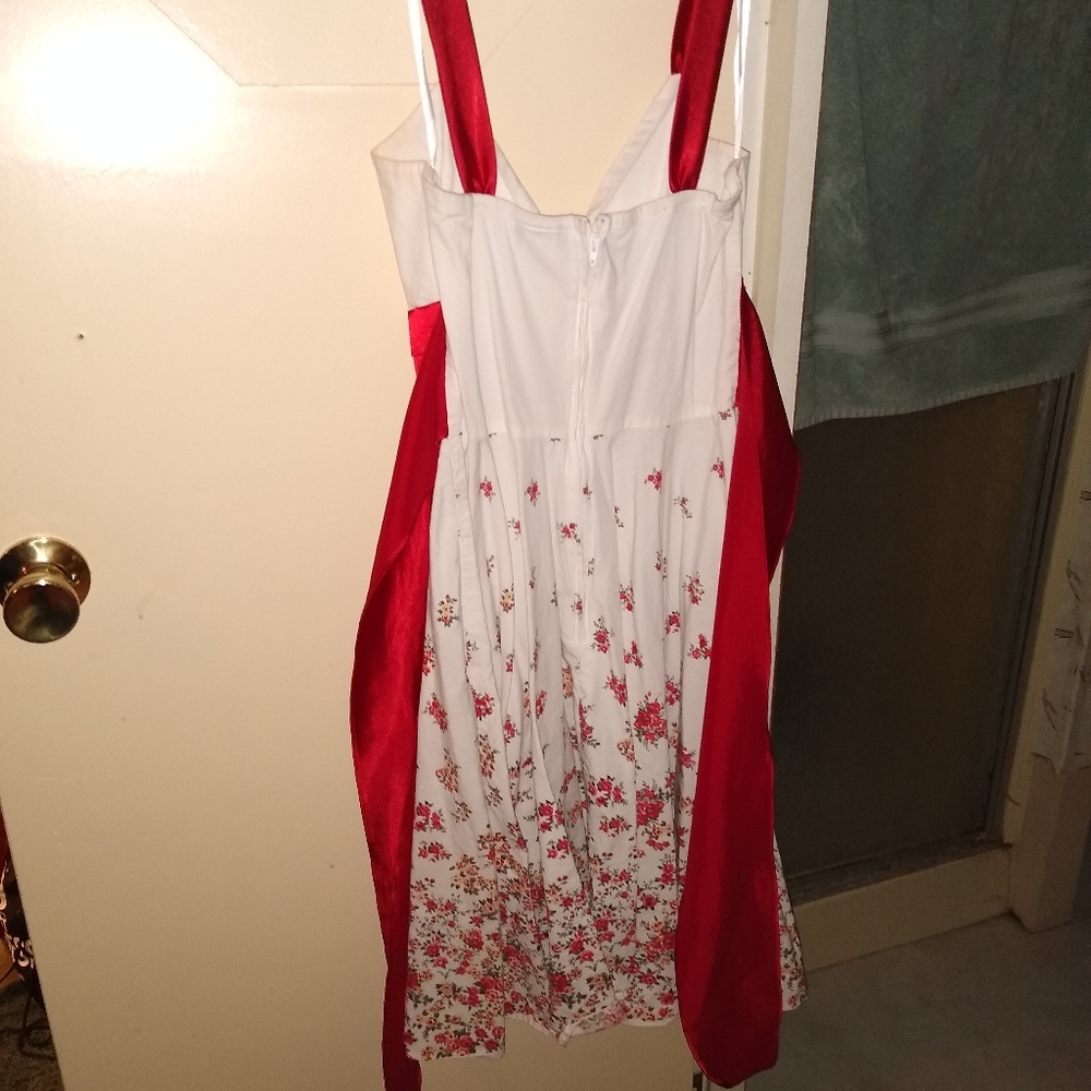Beautiful Pin Up Dress - Picture 3 of 3